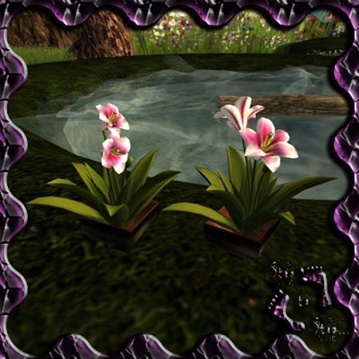 :StS: Lirios Rosa SET