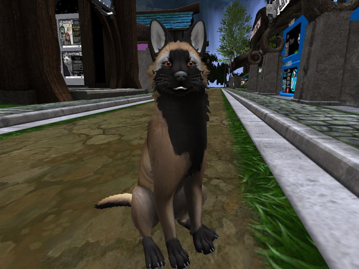 NOODLEMOD - Maligator - Puppy #2 [BOXED]