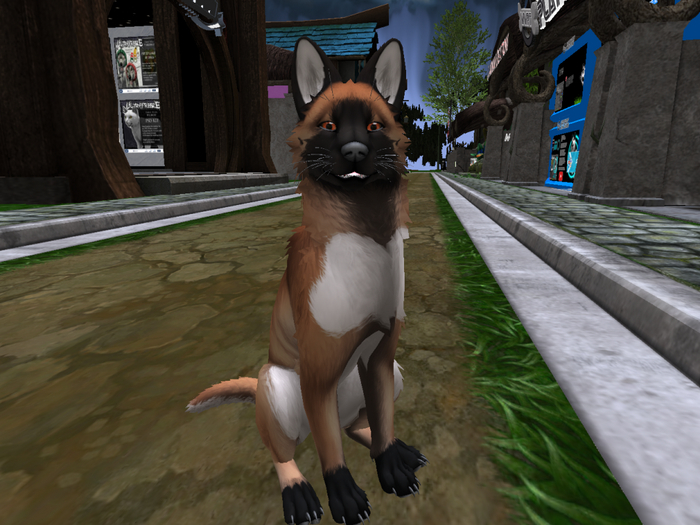 NOODLEMOD - Maligator - Puppy #3 [BOXED]
