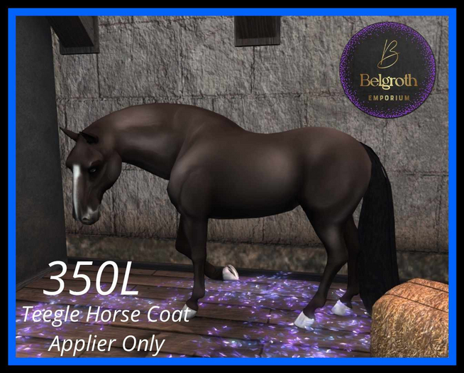 D. Chestnut Min. Markings Horse Coat Box