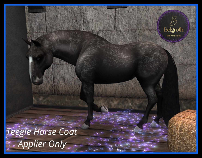 Snowflake Drk. Chestnut Horse Coat BOX
