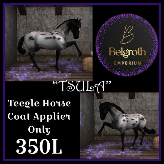 Tsula Teegle Horse Coat Applier Box