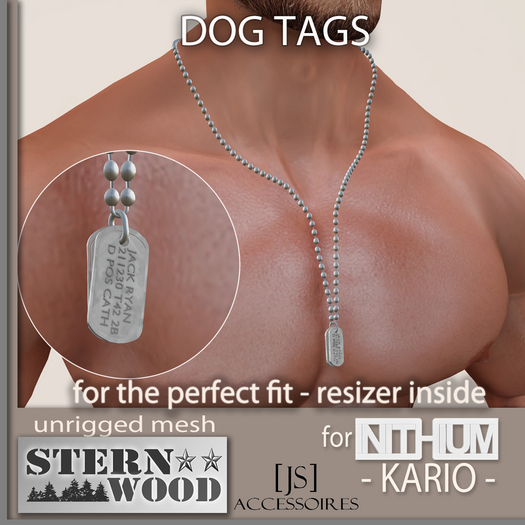 {JS} KARIO - DogTag Necklace - silver