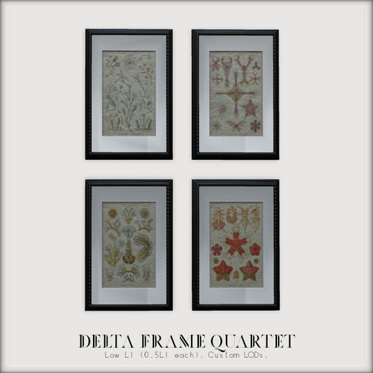 -Jane&Finch- Delta Frame Quartet