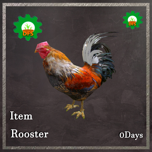 DFS Rooster