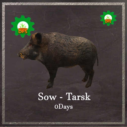 DFS Sow - Tarsk Textur