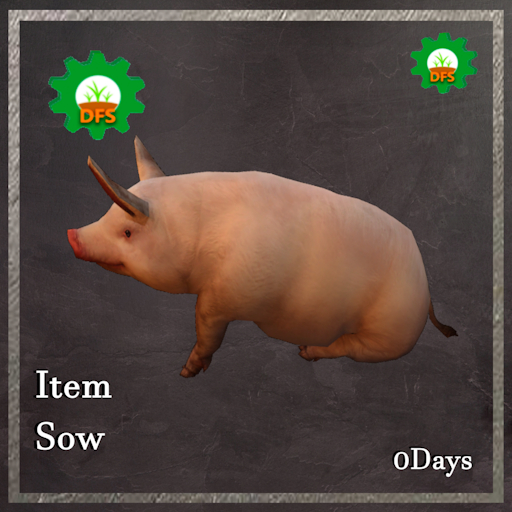 DFS Sow Textur