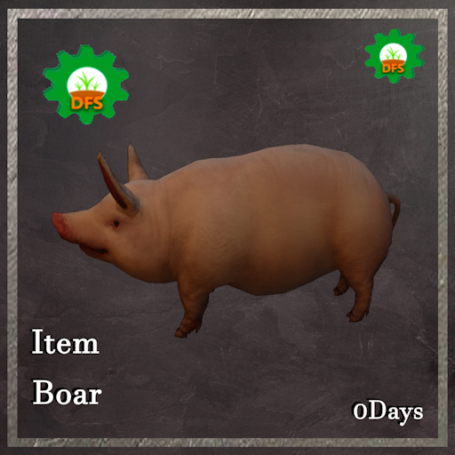 DFS Boar Textur