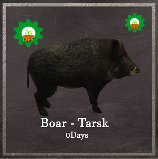 DFS Boar - Tarsk Textur