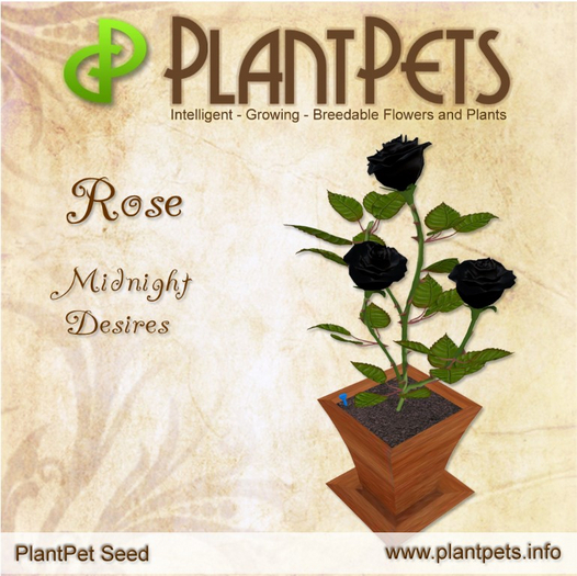 PlantPet Seed [Rose *Midnight Desires*]