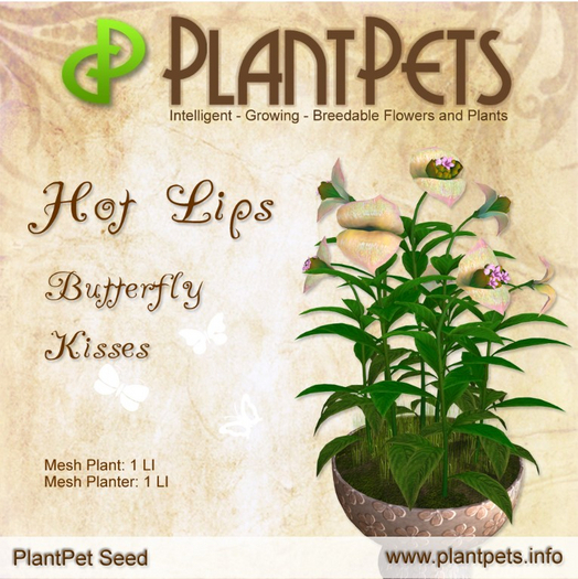 PlantPet Seed [Hot Lips *Butterfly Kisses*] RARE