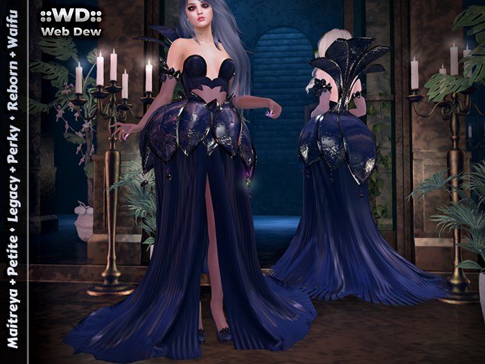 ::WD:: Youth - Blue