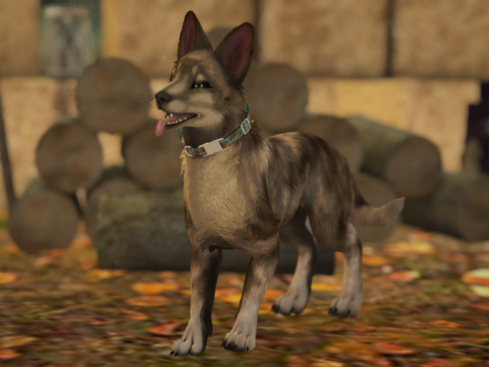 FURGENIX brown face brindle German shepherd TWBM pup Mod