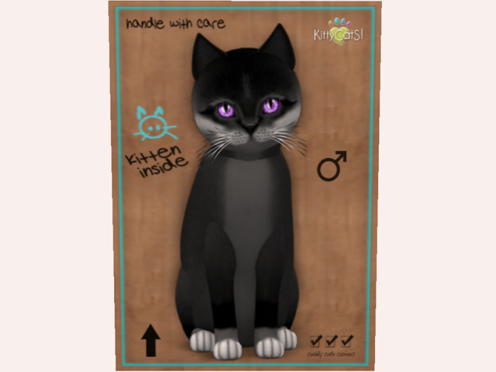 NBK  M Foxie - Soft Black, Sparkle Dream