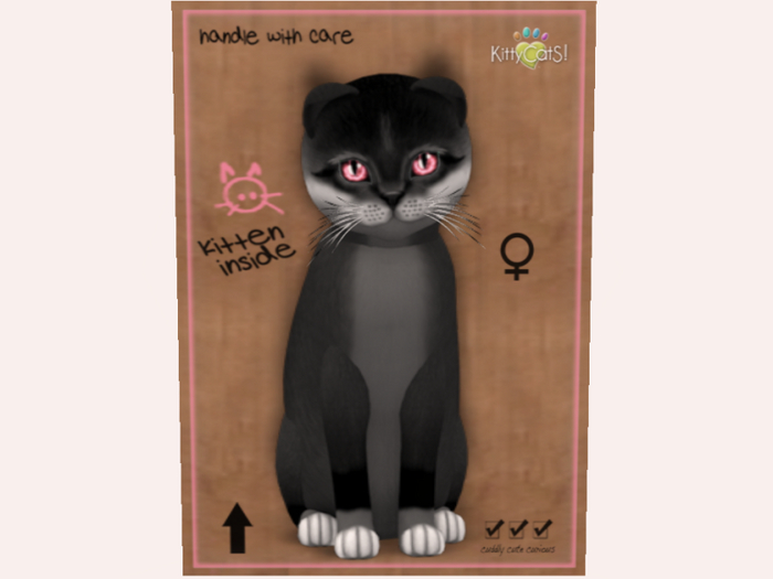 NBK  F Foxie - Soft Black, Wild Cherry
