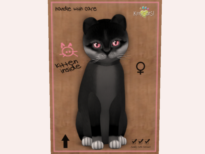 NBK  F Foxie - Soft Black, Wild Cherry 