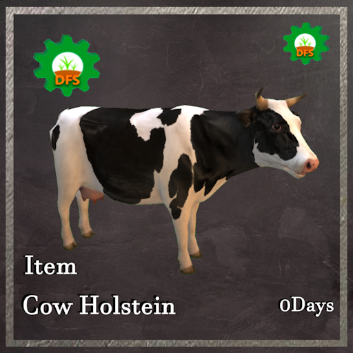 DFS Cow Holstein