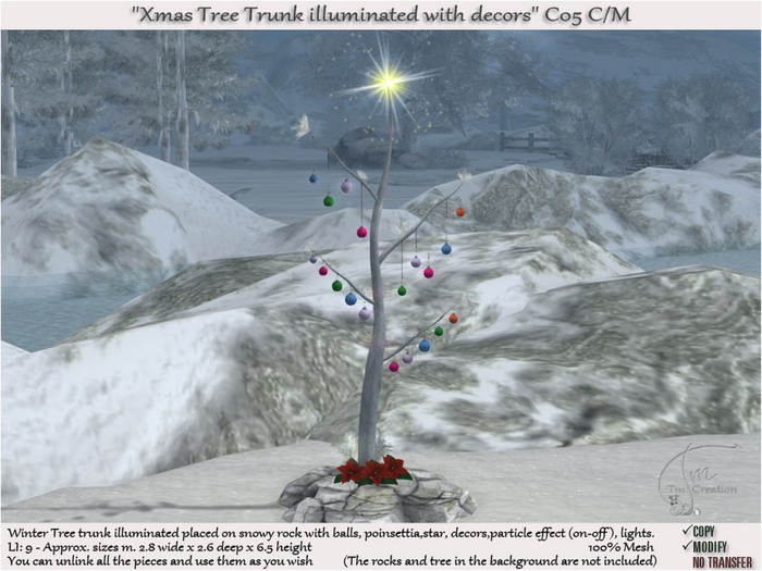 Xmas Tree Trunk illuminated on rock C/M C05