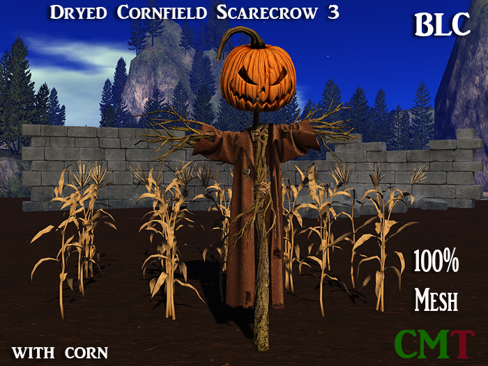 BLC  Dryed cornfield Scarecrow 3