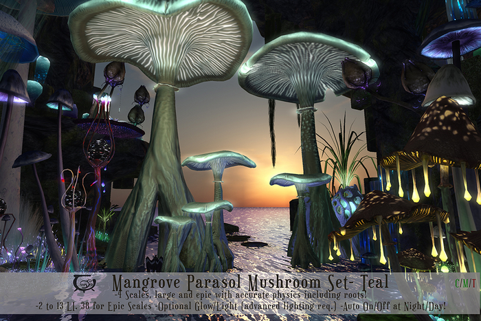 Mangrove Parasol Mushroom Set- Teal