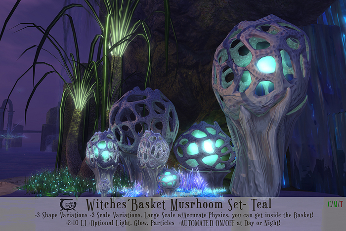 Witches Basket Set- Teal