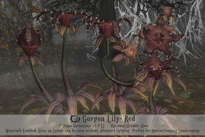 Gorgon Lilly Set- Red