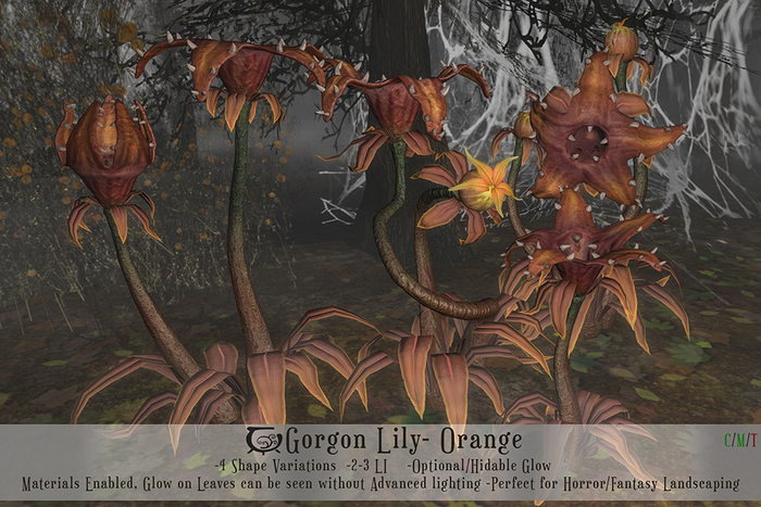 Gorgon Lilly Set- Orange