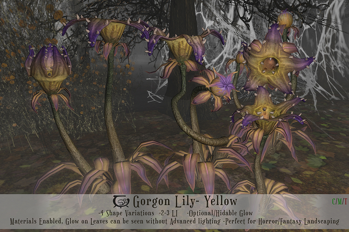 Gorgon Lilly Set- Yellow