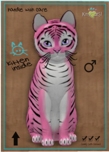 KittyCatS Box - Tiger! - Pinkie Winkie