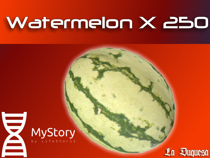 MyStory Watermelon x 250