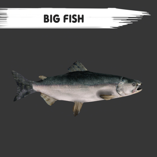 MyStory Fish x 50
