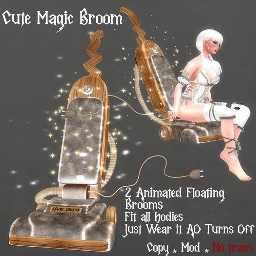 * Cute Magic Broom * Old *