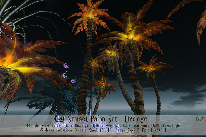  Sunset Palm Set- Orange