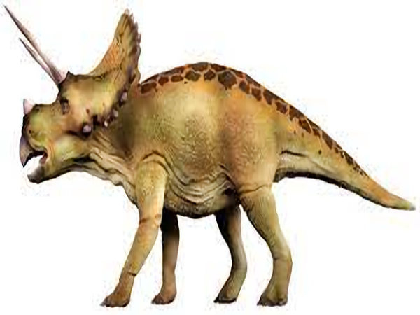 triceratops