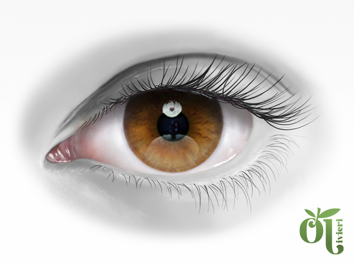 Myrtle Eyes [hazel03] ➔ Lelutka | Bom