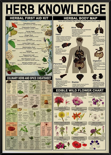 :+:HR:+: Herb Knowledge Poster