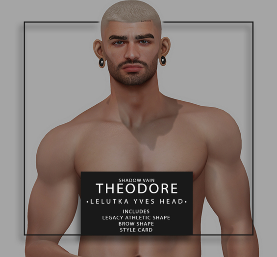 Shadow Vain - Theodore Shape - Lel Yves