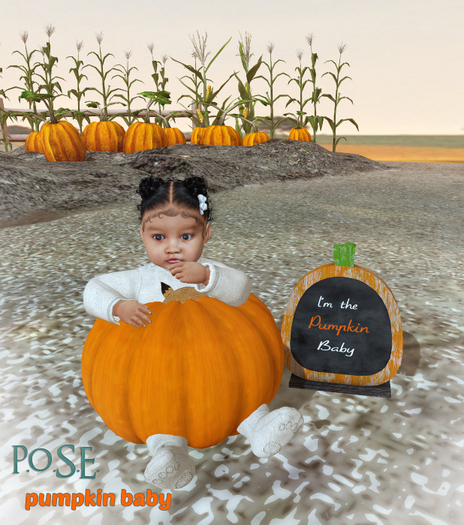 p.o.s.e. pumpkin baby LB