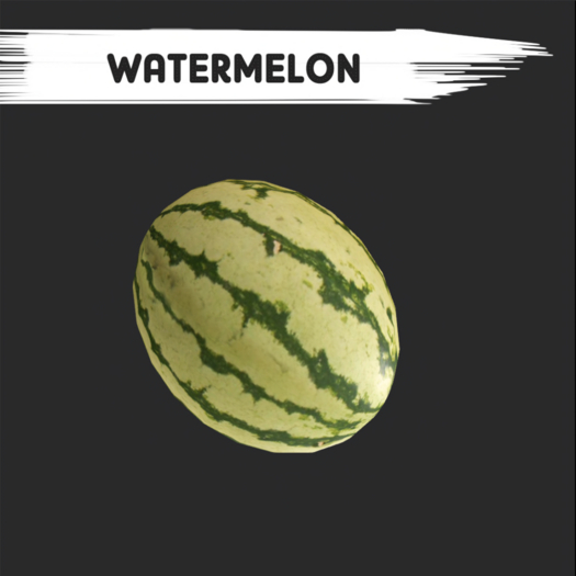 MyStory Watermelon x 5
