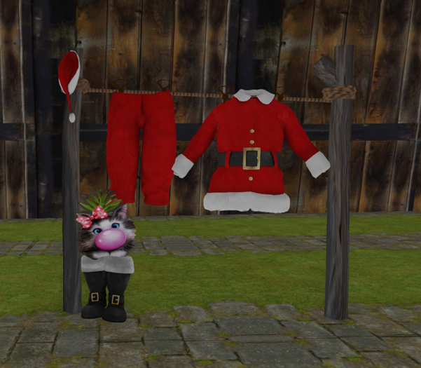 21 santa cloth line with cat 