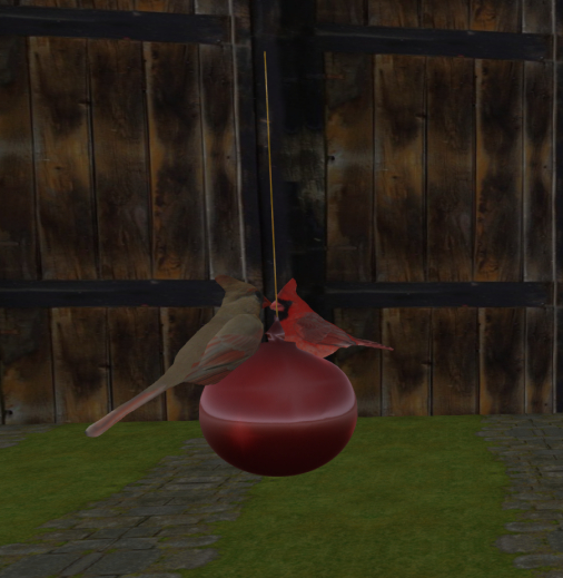 21cardinals ball