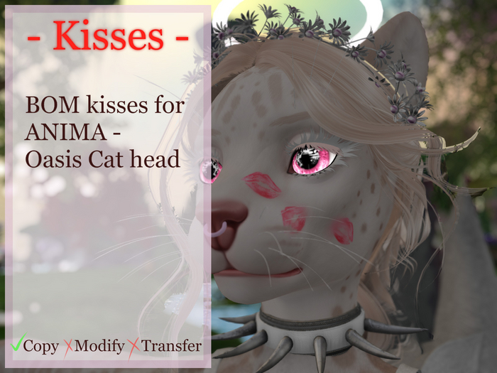 QuShop - Oasis Cat - kisses