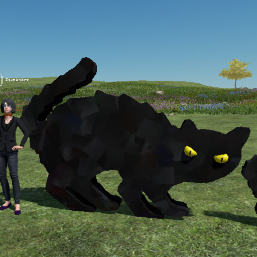 Black Cat Scared