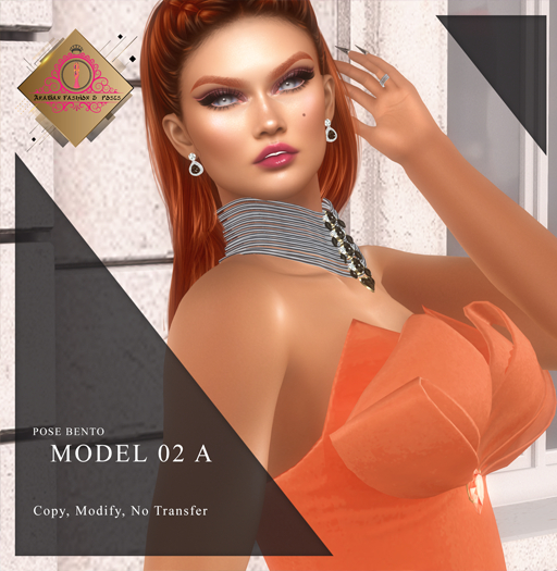 AF model  02 A (Add)