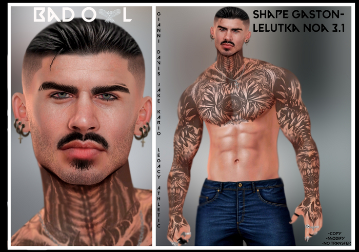 SHAPE GASTON-LELUTKA NOA 3.1