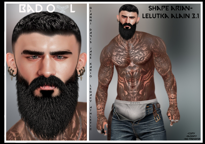 SHAPE ARIAN-LELUTKA ALAIN 3.1