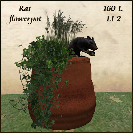 urban_planter with rat