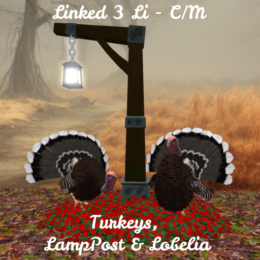 Turkey (s) Lanp Post & Lobelia