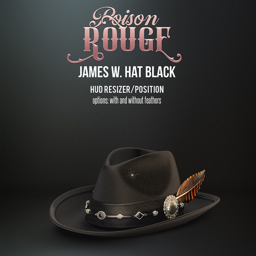 POISON ROUGE James W. Hat Black 