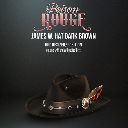 POISON ROUGE James W. Hat  Dark Brown